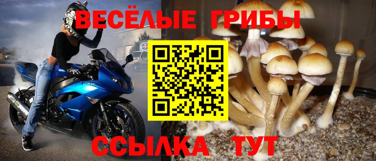 Псилоцибиновые грибы мухоморы  Вход с VPN  Белогорск  Псилоцибиновые грибы прущие грибы 