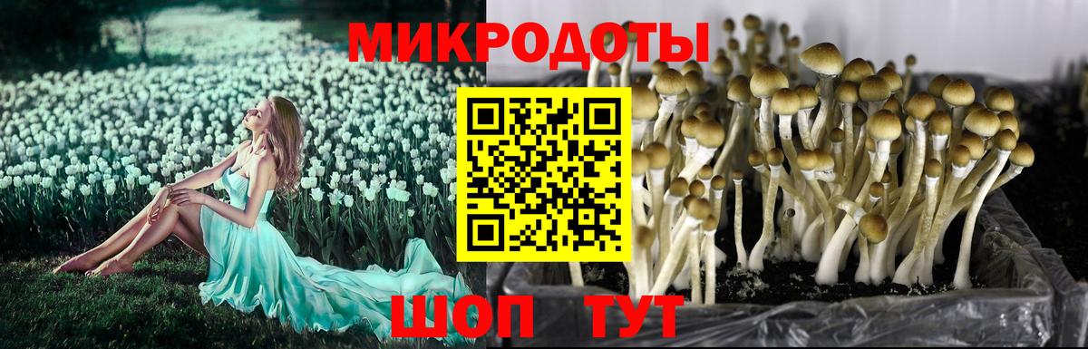 Купить закладку  Alpha-PVP СОЛЬ кристаллы  Гашиш  Гашиш  Канабис  Белогорск  МЕФ   Вход с VPN 