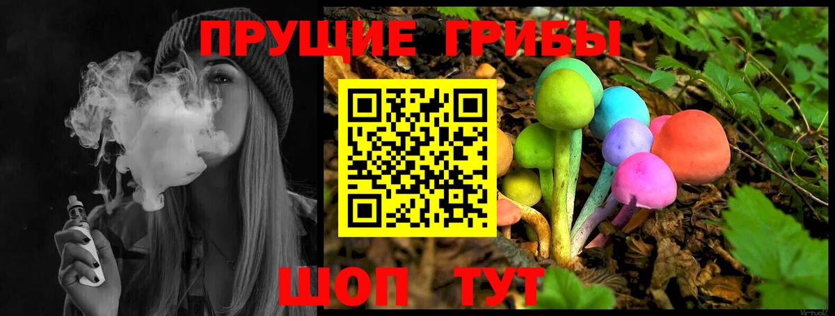 Галлюциногенные грибы Psilocybe Белогорск